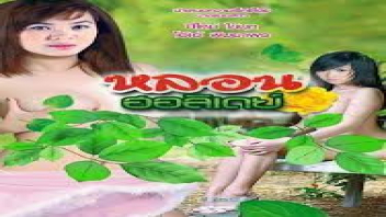 ไทยเย็ดกัน โอ้เอ้ พิมยาพร แทงหี เสียวหี เย็ดไทย